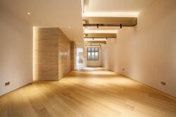 Sago Lane (D1), Shop House #502538251